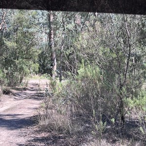 Big camp site close by track