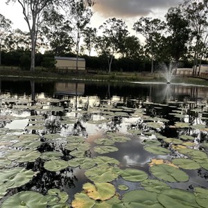 Gum Tree Lodge and Bush Camp
