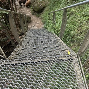 Stevensons Falls Lookouts