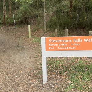 Stevensons Falls Walk
