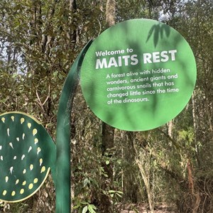 Mait’s Rest Rainforest Walk