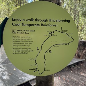 Mait’s Rest Rainforest Walk