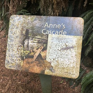 Anne’s Cascade