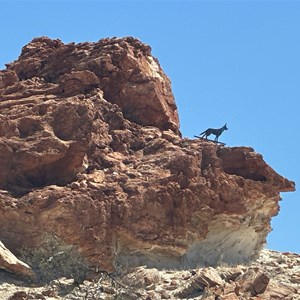 Dingo rocks