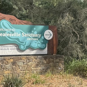 Healesville Sanctuary