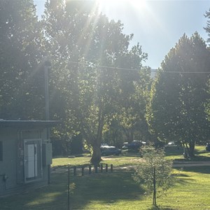 Wandiligong Camping Ground