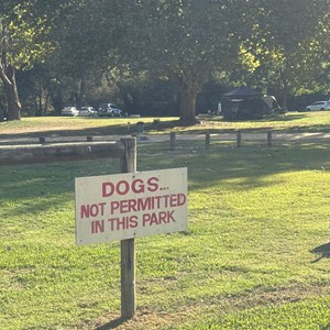 Wandiligong Camping Ground