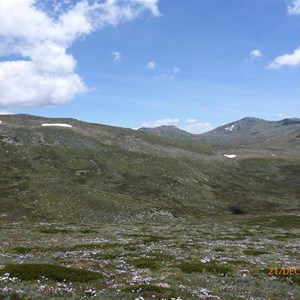 Northern slopes