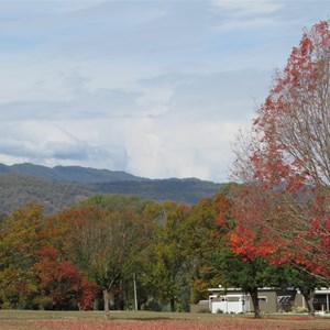 Autumn colours