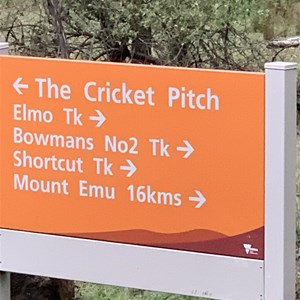 Elmo cricket ground