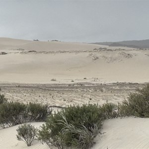 Reef beach dunes