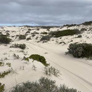 Reef beach dunes