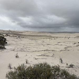 Reef beach dunes