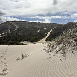 Reef beach dunes