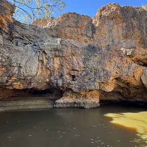 Logan Falls