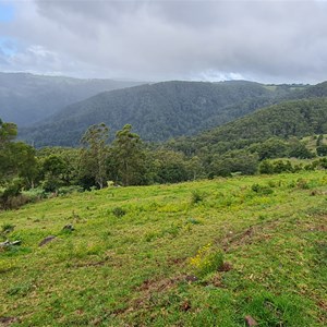 Tom's Creek Switchback
