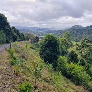 Tom's Creek Switchback