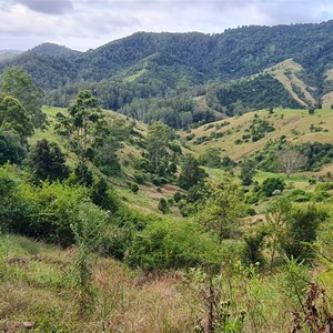 Tom's Creek Switchback
