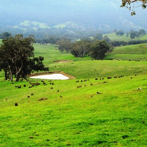 Typical Molesworth countryside