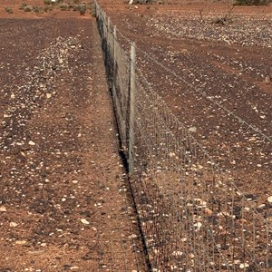 No. 1 Vermin (Rabbit) Fence