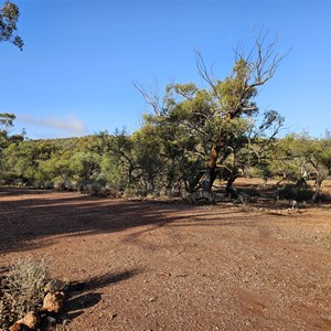 Mount Gibson Quartz Ridge Campground