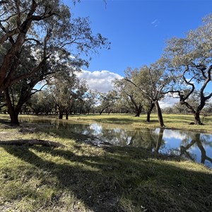 Boorooma Bridge Rest Area
