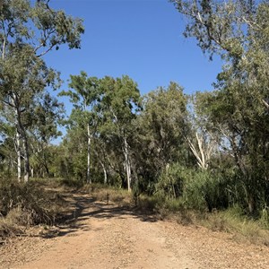 Camp site near Ryans bend