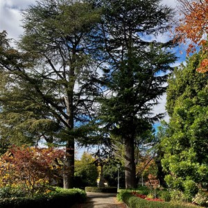 Maldon Botanic Gardens