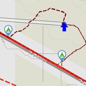 Unofficial free camp