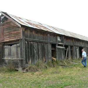 Old barn in Delegate