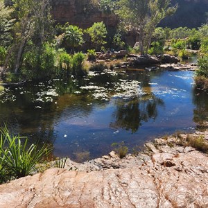 Champagne Springs