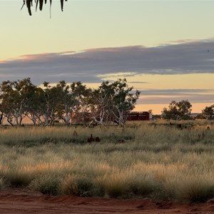 Lake Gregory free camp