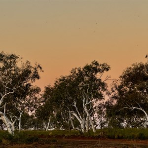 Lake Gregory free camp