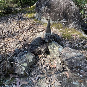 Paddy’s river reserve