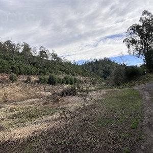 River campsite just off the road