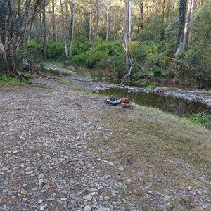 Hortons Creek Campsite
