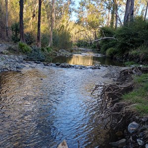 Hortons Creek Campsite