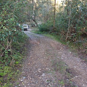 Hortons Creek Campsite