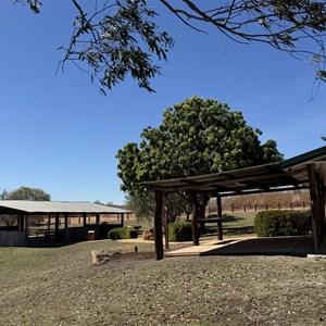 Lake Belmore Picnic Area
