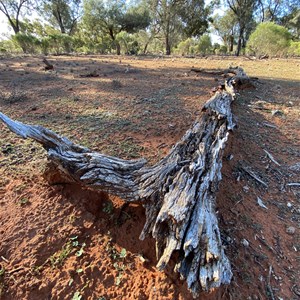 Whispering Pines Campground