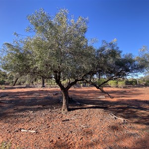 Whispering Pines Campground