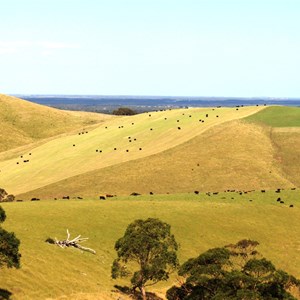 Toora is a dairy farming centre.