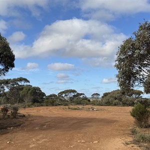 Nuytsland Nature Reserve