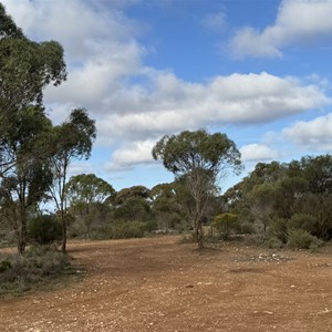 Nuytsland Nature Reserve