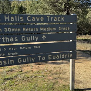 Ben Halls Cave Track