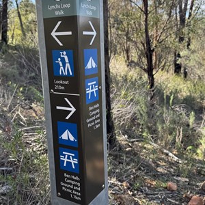 Junction Lynchs Loop Walk & Lookout