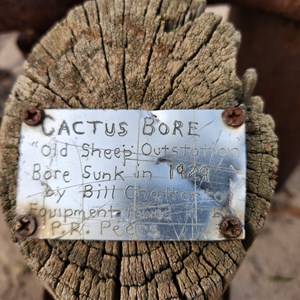 Cactus Bore