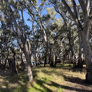 Canoe Point Campground