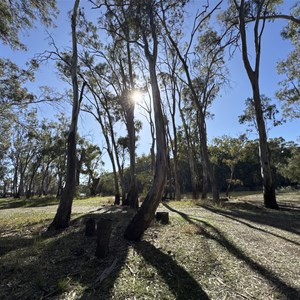 Humpy Point Picnic Area