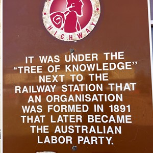 Tree of Knowledge